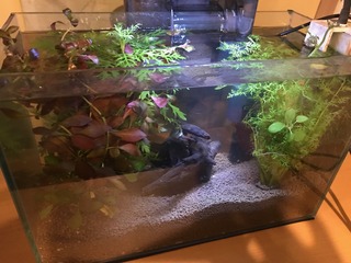 00_20171110_1.jpg